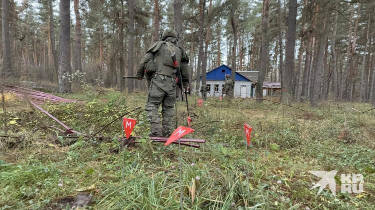 Фотографии военнослужащих КНДР, которые сейчас принимают участие в разминировании Курской области Фотографии военнослужащих КНДР, которые сейчас принимают участие в разминировании Курской области