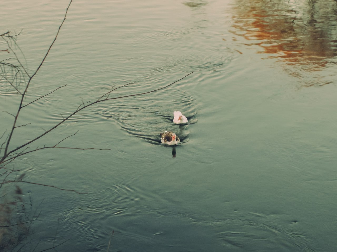Доброе утро! Рабочая неделя подходит к концу Доброе утро! Рабочая неделя подходит к концу