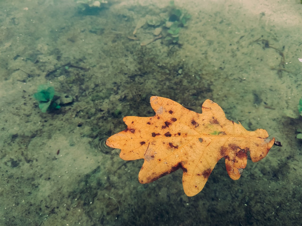 Доброе утро! Рабочая неделя подходит к концу Доброе утро! Рабочая неделя подходит к концу