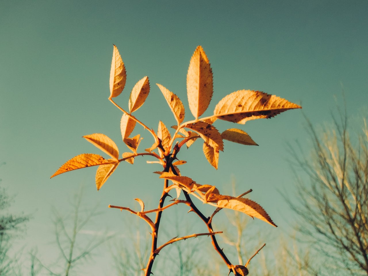 Доброе утро! Рабочая неделя подходит к концу Доброе утро! Рабочая неделя подходит к концу