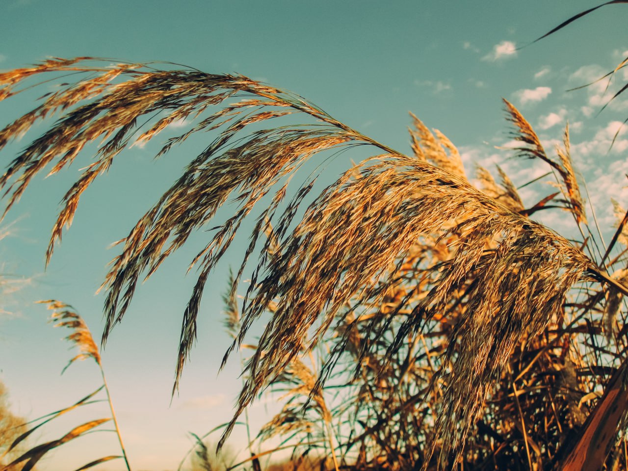 Доброе утро! Рабочая неделя подходит к концу Доброе утро! Рабочая неделя подходит к концу