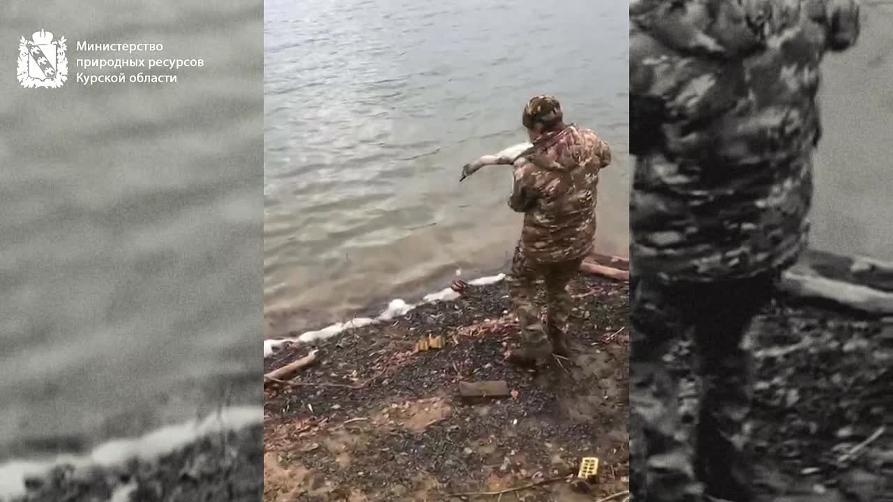 В адрес Минприроды Курской области обратилась жительница деревни Роговинка Железногорского района