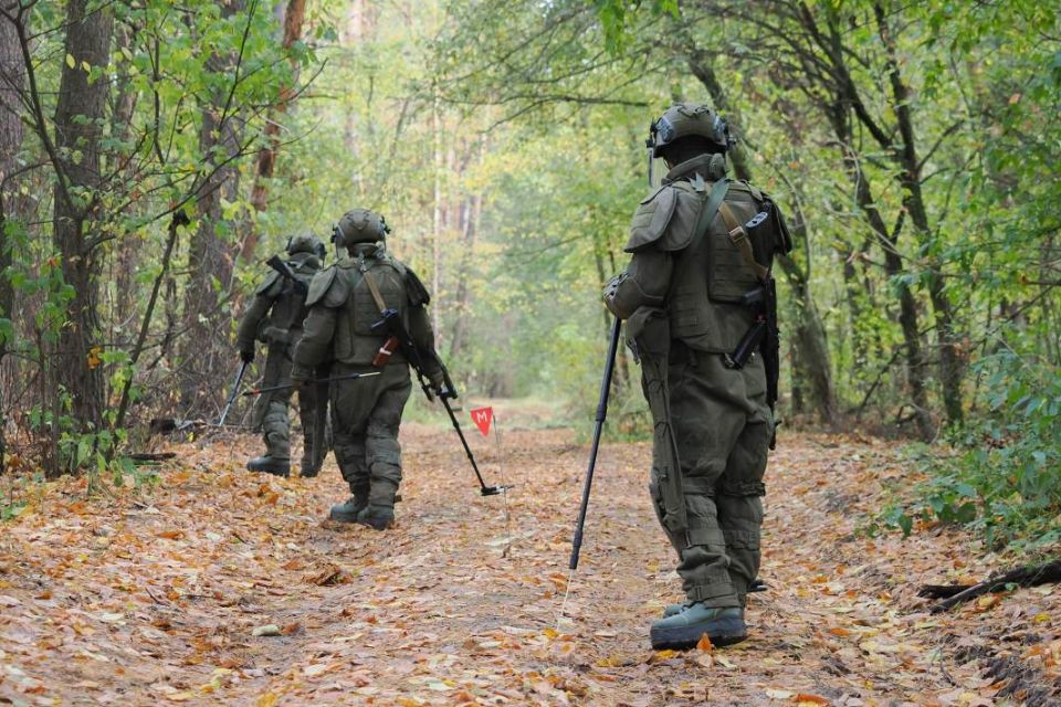 "Церемония разграждения". Как корейские саперы помогают очищать от мин Курскую область узнал военный корреспондент "Красной звезды" Дмитрий Корнев