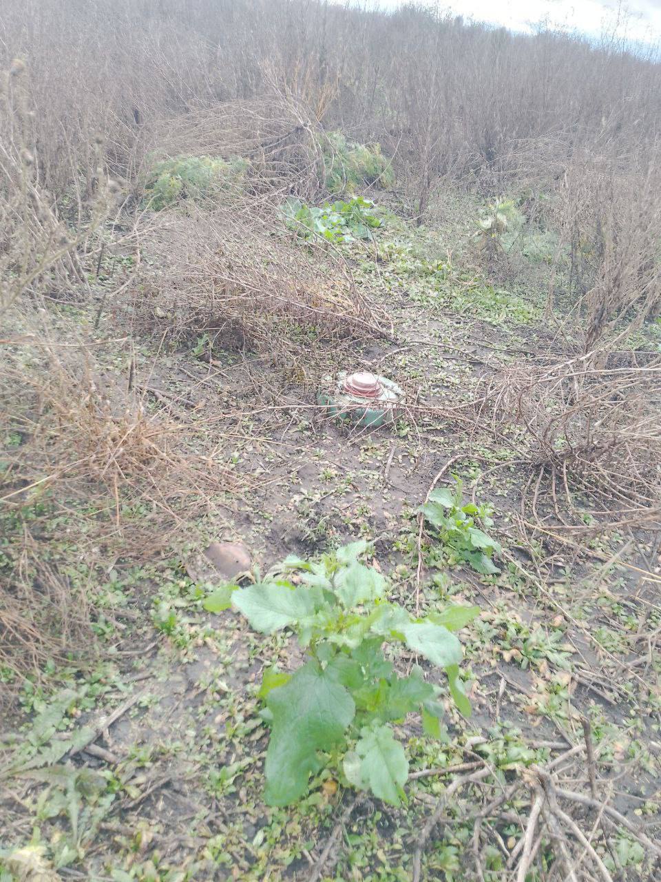 Добровольческой бригадой «БАРС-Курск» продолжается работа по разминированию Курской области Добровольческой бригадой «БАРС-Курск» продолжается работа по разминированию Курской области