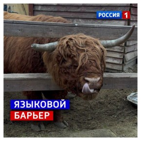 15 ноября, суббота. Выходные! Повод повстречаться с друзьями и близкими