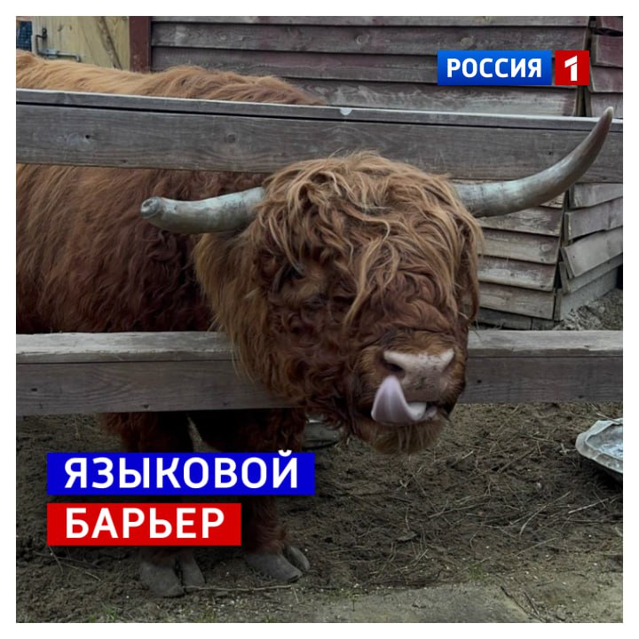 15 ноября, суббота. Выходные! Повод повстречаться с друзьями и близкими