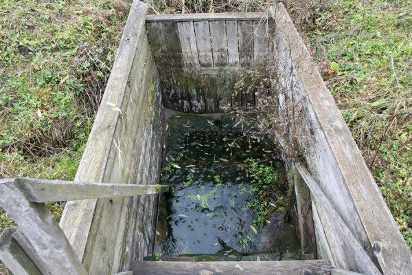 Специалисты минприроды успокоили курян - Кур в безопасности!