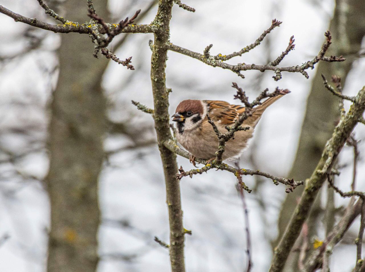 Доброе воскресное утро, друзья!
