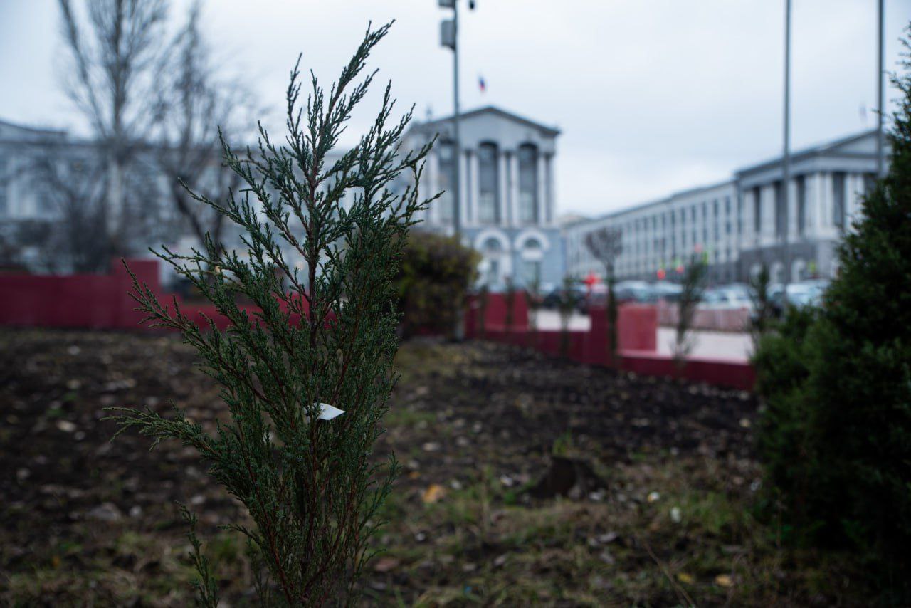Благоустройство сквера у Главпочтамта на Красной площади Курска находится на финальной стадии
