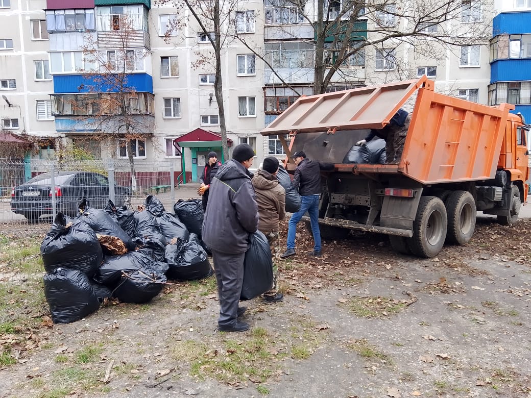 На улицах Менделеева и Черняховского куряне навели порядок На улицах Менделеева и Черняховского куряне навели порядок