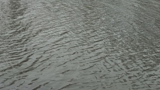 В реке Сейм установили превышение концентрации марганца в 4-5,5 раза