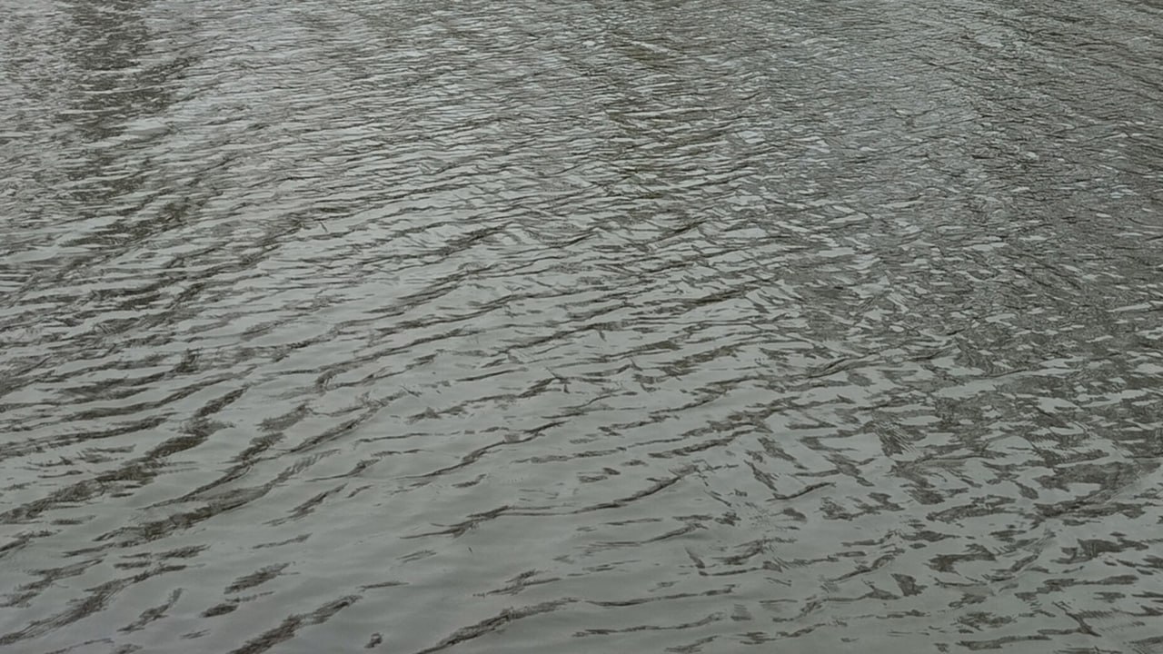 В реке Сейм установили превышение концентрации марганца в 4-5,5 раза