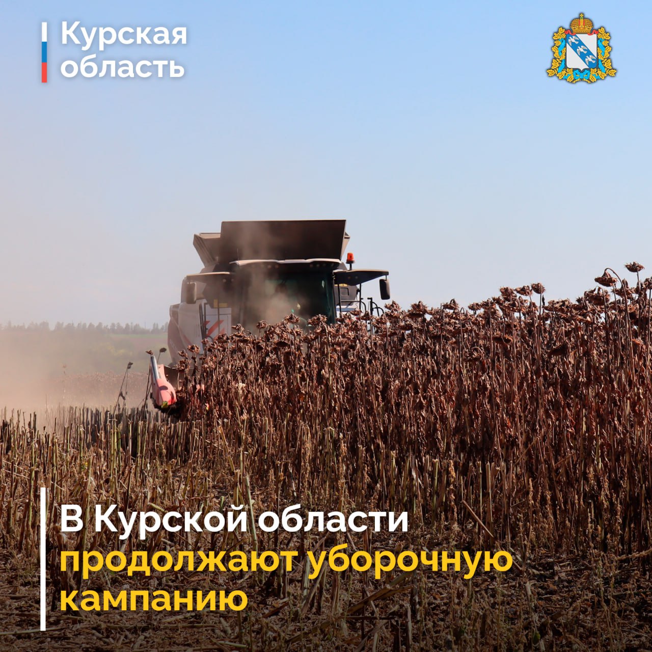 Курские аграрии продолжают работу по уборке поздних сельскохозяйственных культур