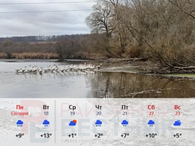 Вот такая погода ждет всех нас в ближайшую неделю