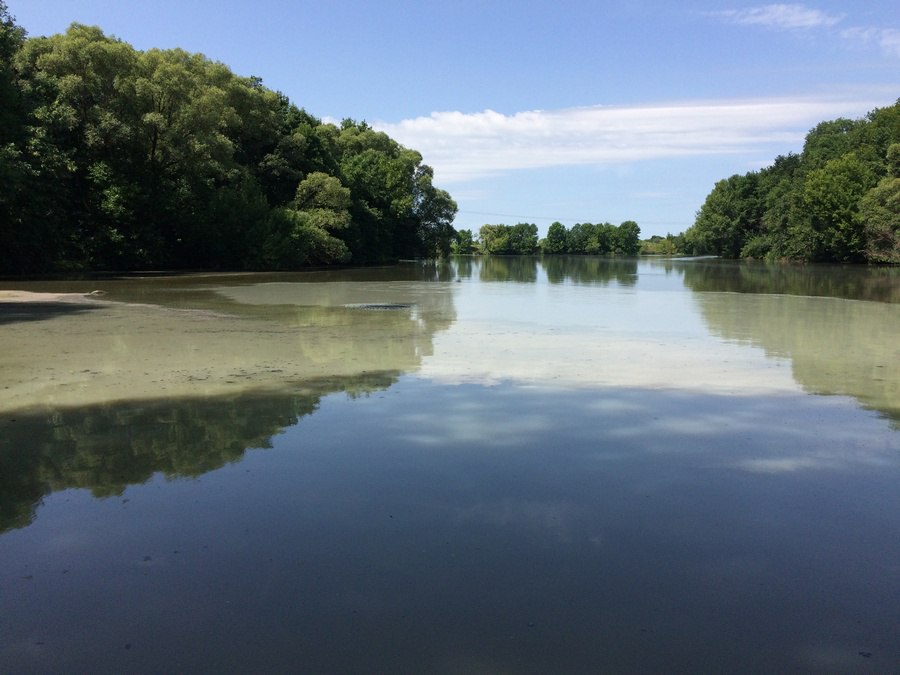 О том, что стало причиной гибели рыбы в реке Сейм в Курском районе, около Ворошнево и Сергеевки, сообщил заместитель губернатора Геннадий Бабаскин