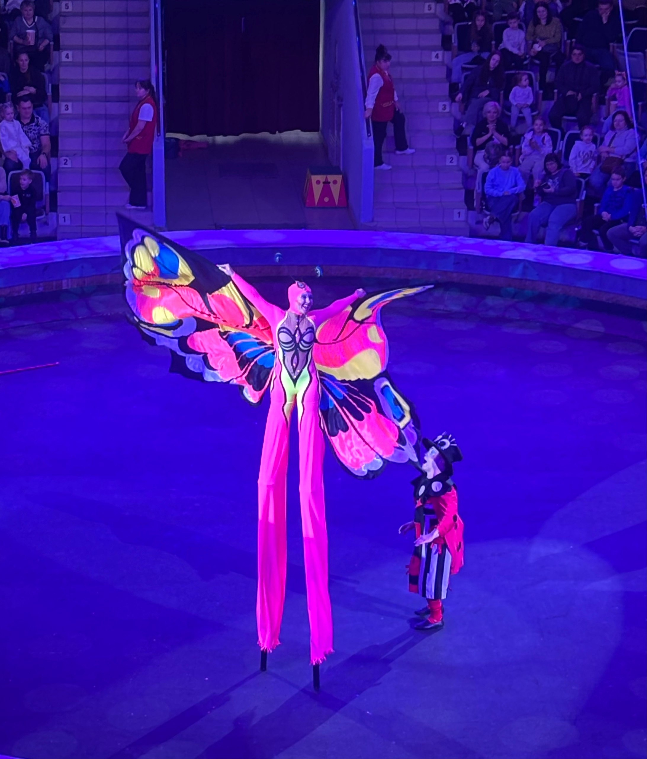 Детство должно быть ярким и счастливым!!! Детство должно быть ярким и счастливым!!!