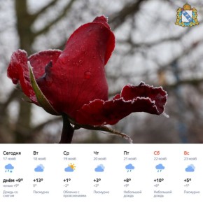 Доброе утро! Первый снег и морозы уже пришли в Курскую область