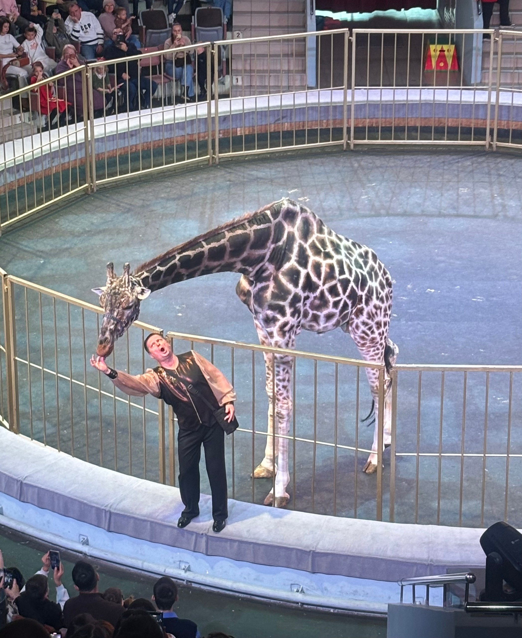 Детство должно быть ярким и счастливым!!! Детство должно быть ярким и счастливым!!!