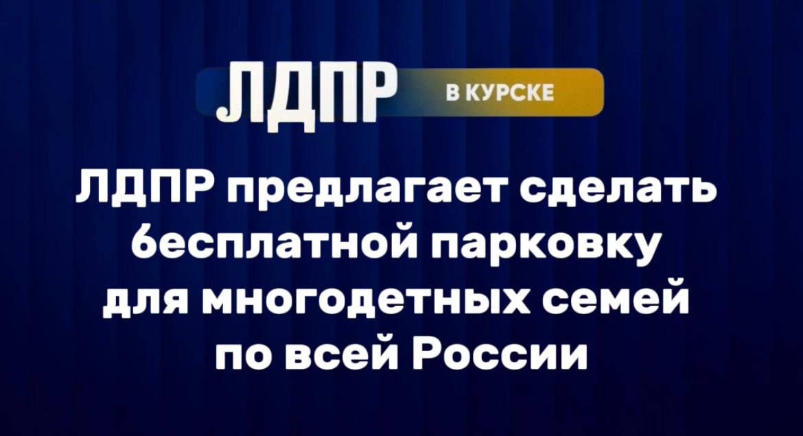 ЛДПР предлагает сделать бесплатной парковку для многодетных семей по всей России