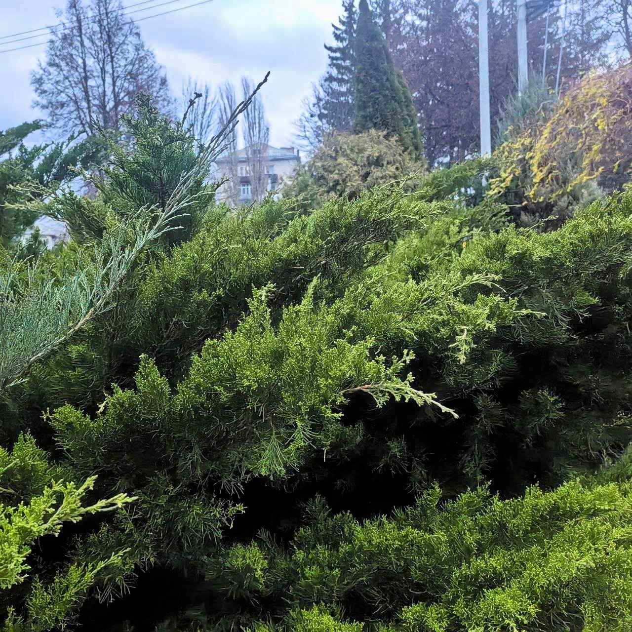 Доброе утро, Щигровский район! Доброе утро, Щигровский район!