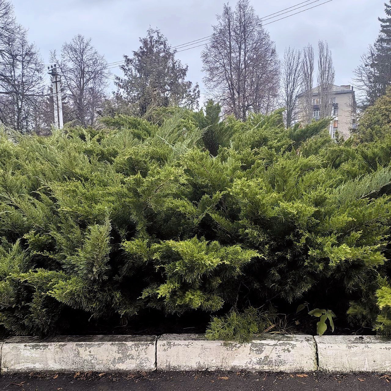 Доброе утро, Щигровский район! Доброе утро, Щигровский район!