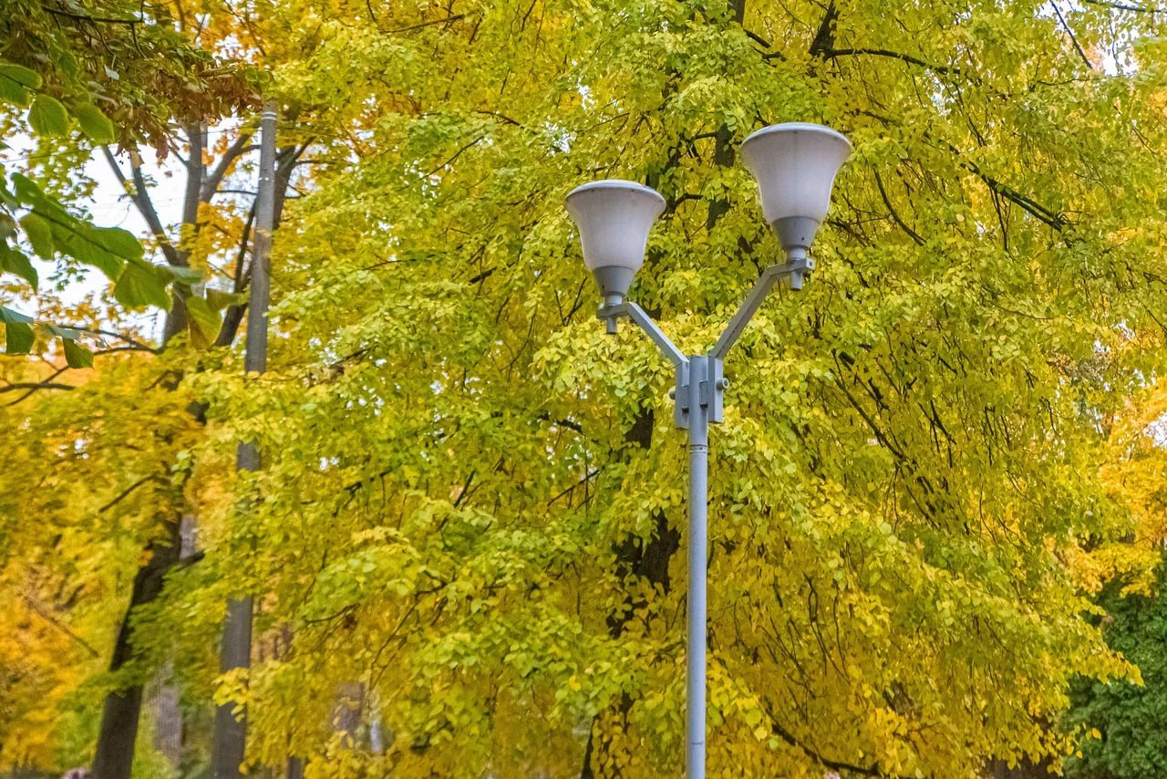 В Курске электрики устранили пять повреждений на воздушных линиях