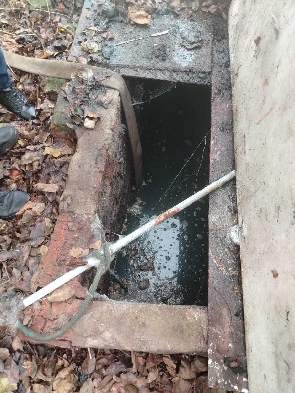 Сотрудники администрации Железнодорожного округа совместно с представителями Министерства природных ресурсов Курской области, комитета городского хозяйства Курска и Железнодорожного отдела полиции провели рейд по выявлению... Сотрудники администрации Железнодорожного округа совместно с представителями Министерства природных ресурсов Курской области, комитета городского хозяйства Курска и Железнодорожного отдела полиции провели рейд по выявлению...