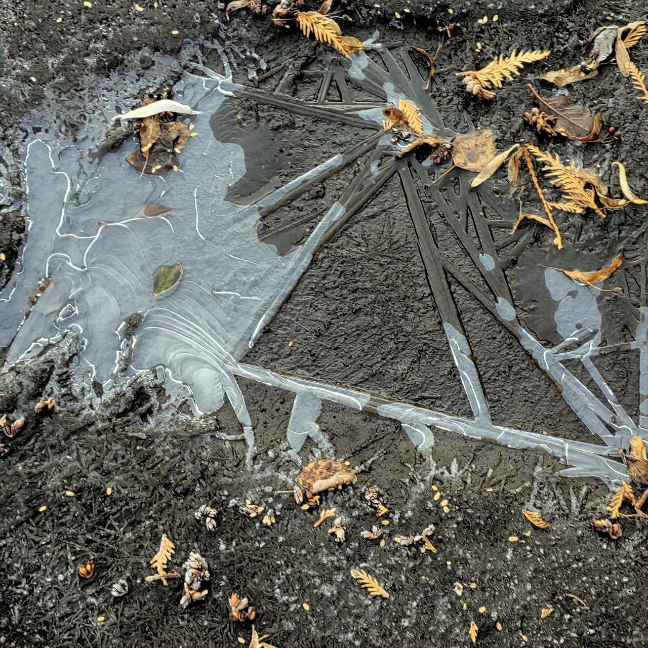 Доброе утро, наш любимый Щигровский район! Доброе утро, наш любимый Щигровский район!