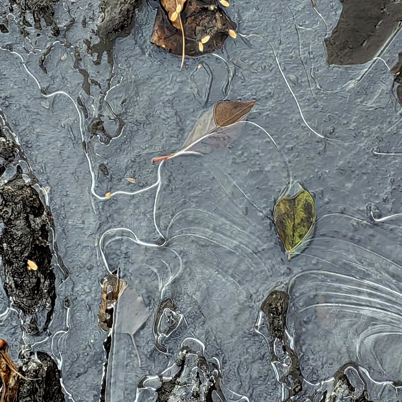 Доброе утро, наш любимый Щигровский район! Доброе утро, наш любимый Щигровский район!