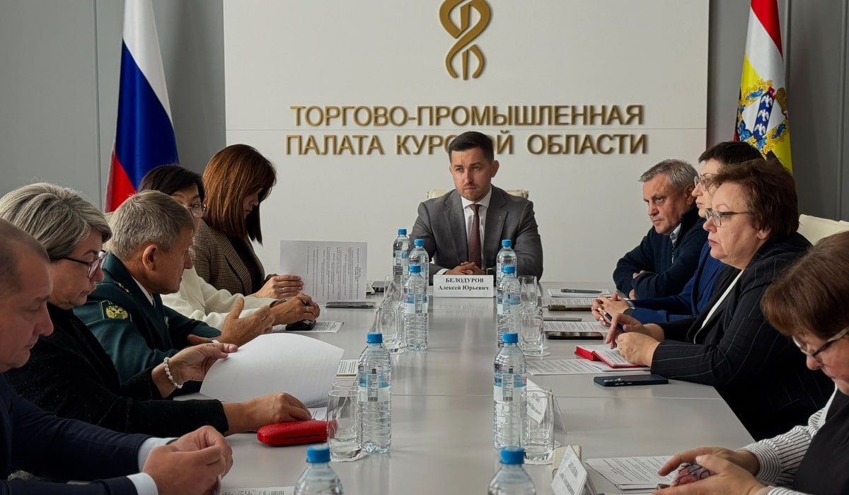 Довериться профессионалам: курские предприниматели могут получить поддержку в Торгово-промышленной палате