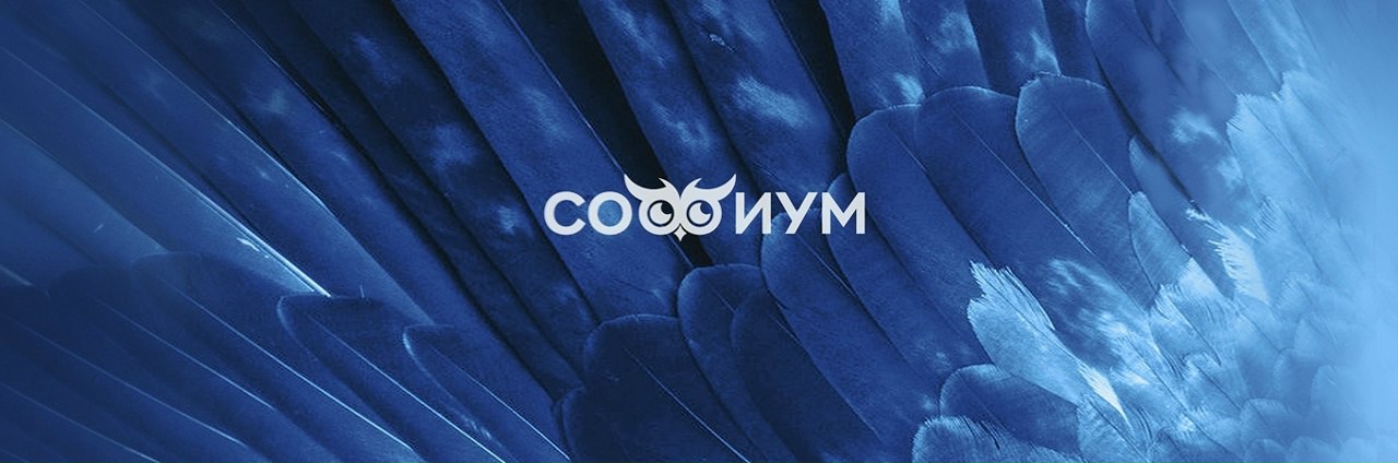 Завершился первый (отборочный) тур регионального этапа Всероссийской олимпиады «Софиум» для старшеклассников