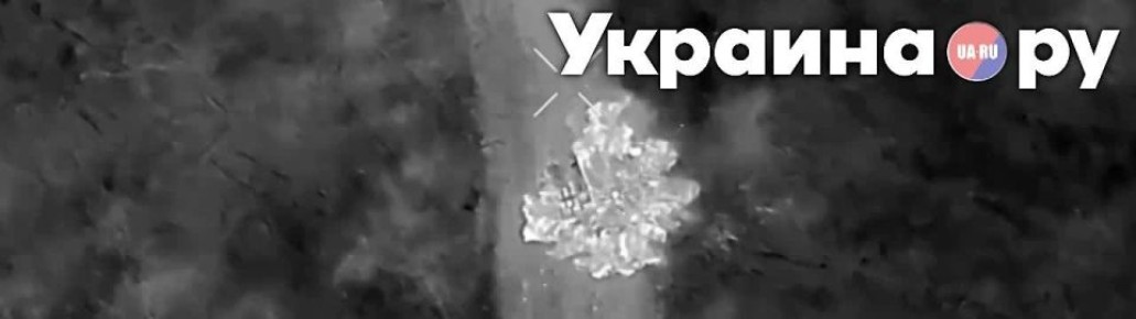    19    &quot;  &quot;