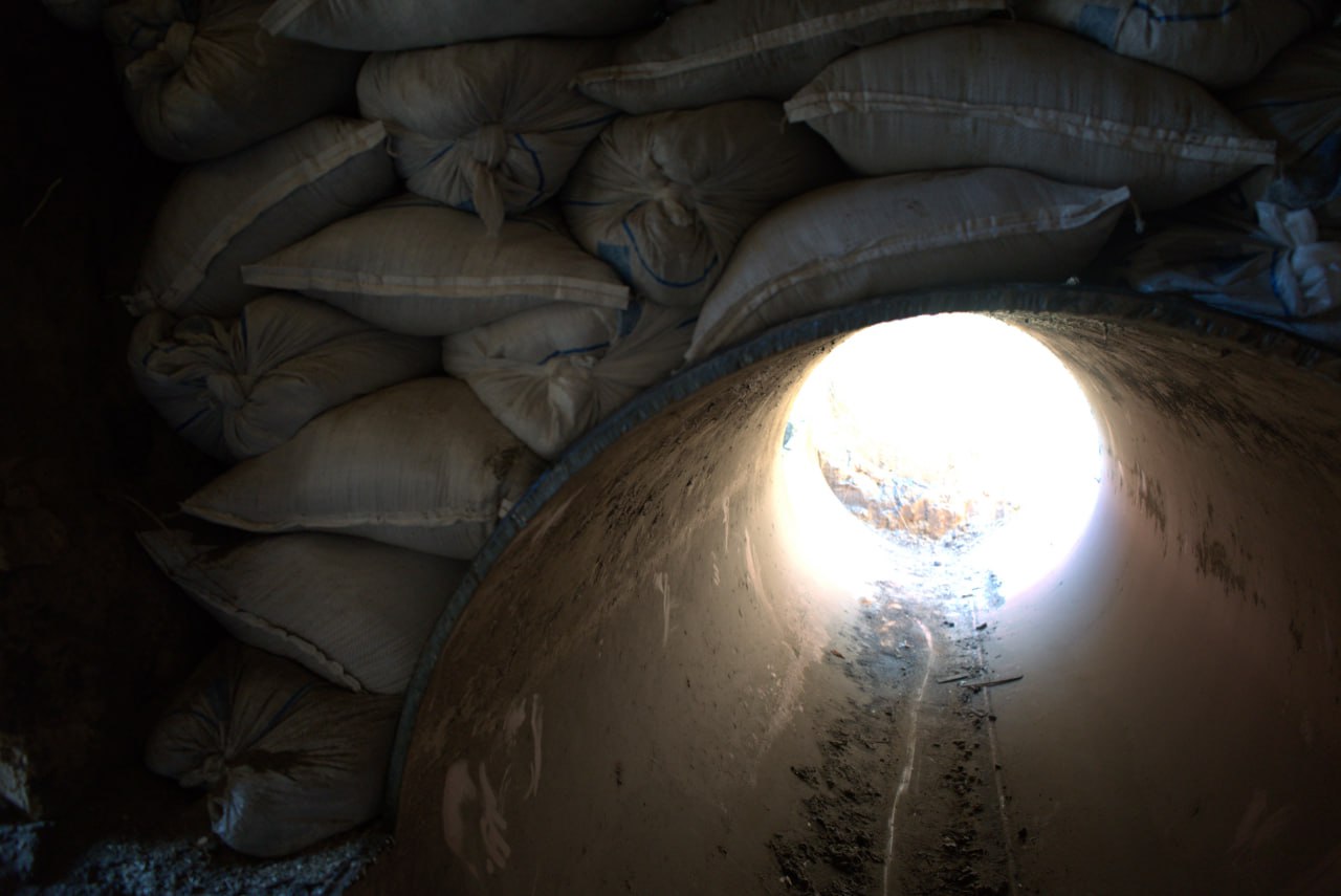 Эмир Кустурица выбрал историю Курской области для будущего фильма о событиях СВО