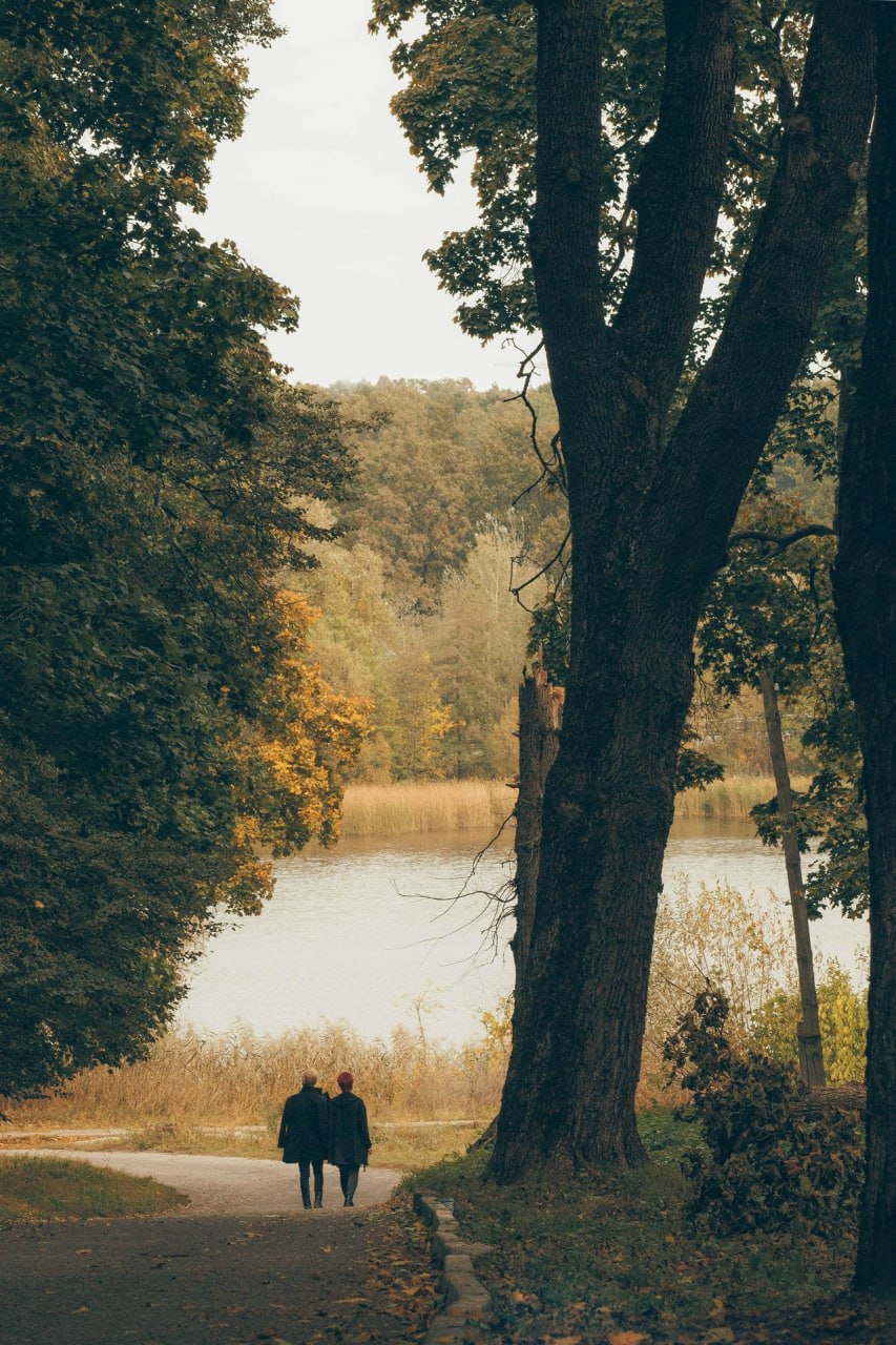 К 100-летию со дня рождения Евгения Носова пройдет выставка лауреатов конкурса «Краски родной земли» К 100-летию со дня рождения Евгения Носова пройдет выставка лауреатов конкурса «Краски родной земли»