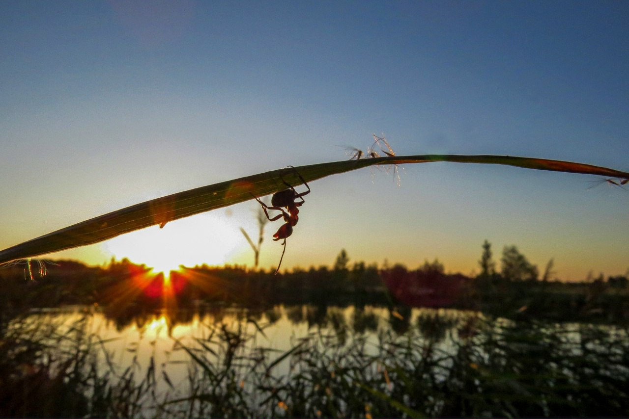 К 100-летию со дня рождения Евгения Носова пройдет выставка лауреатов конкурса «Краски родной земли» К 100-летию со дня рождения Евгения Носова пройдет выставка лауреатов конкурса «Краски родной земли»