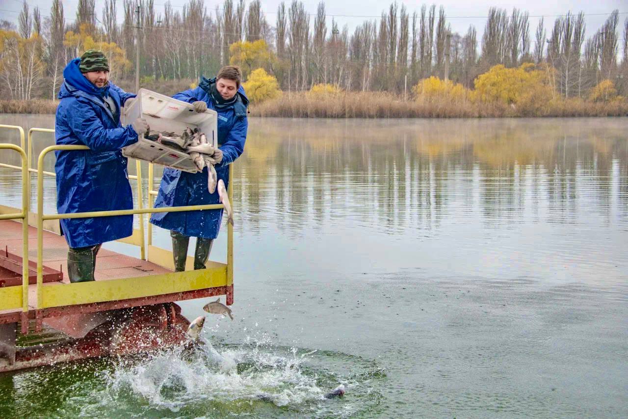 4 тонны мальков толстолобика и белого амура запустили в водоем-охладитель в Курчатове 4 тонны мальков толстолобика и белого амура запустили в водоем-охладитель в Курчатове
