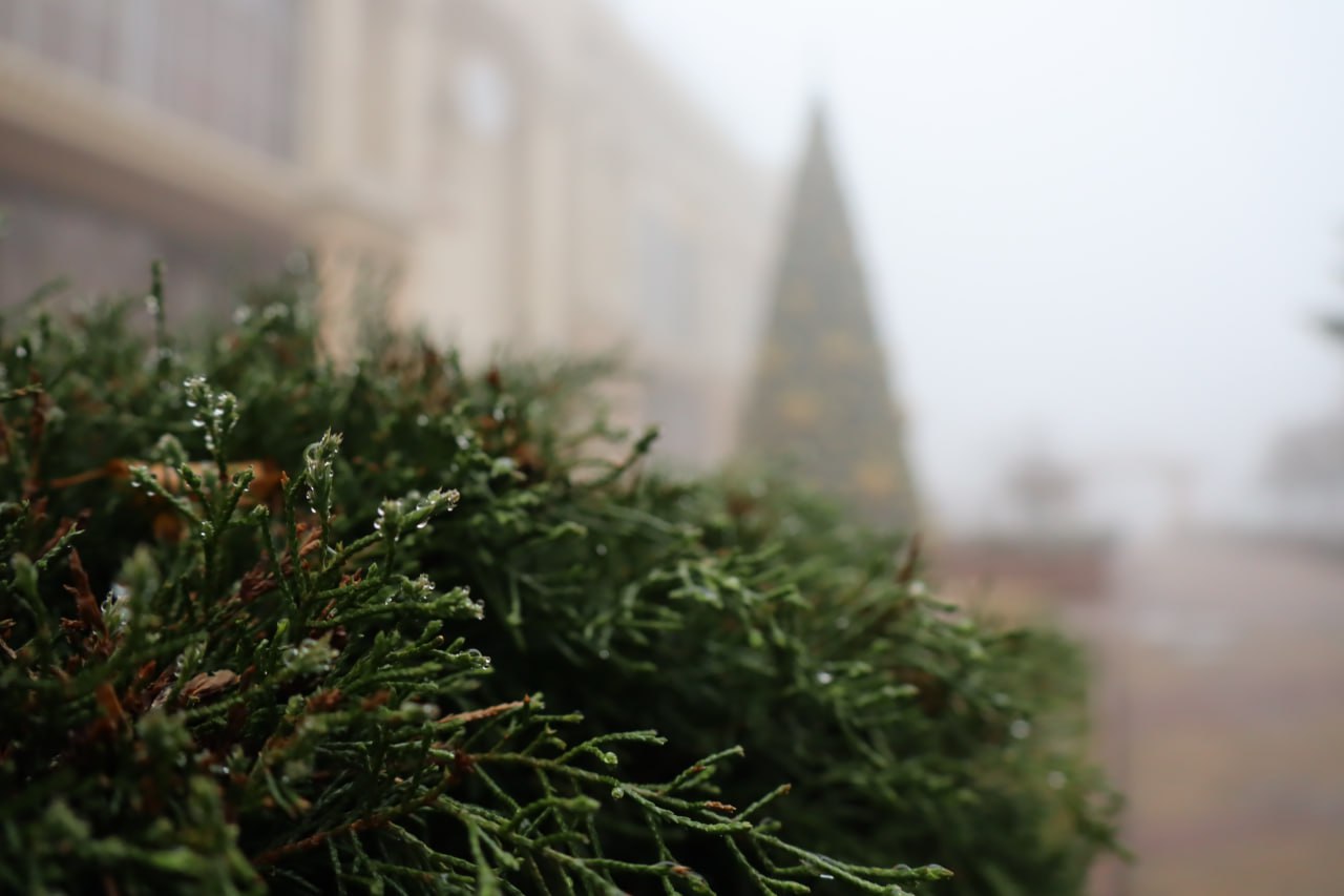 Утро в Курске встречает туманом Утро в Курске встречает туманом