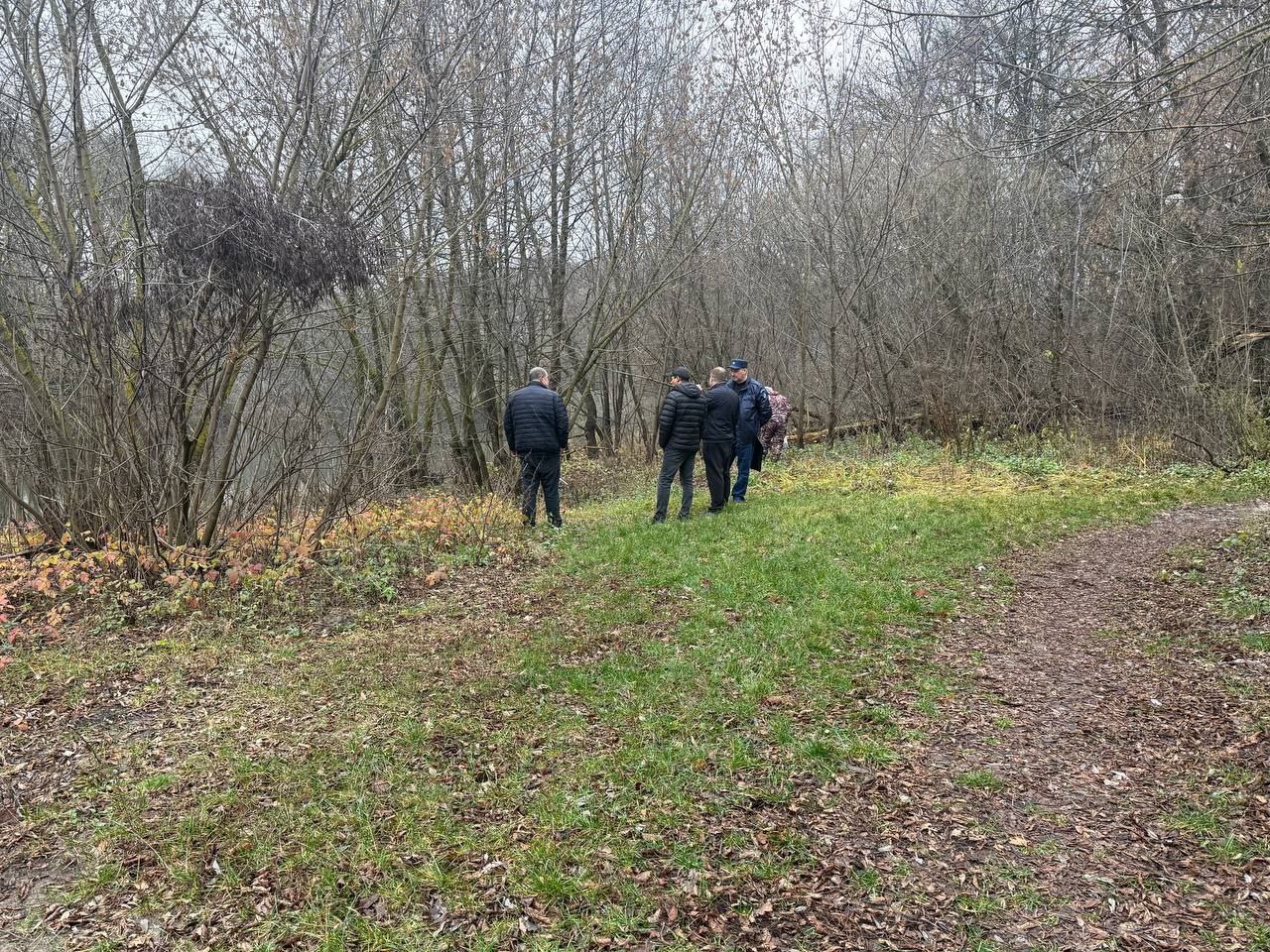 В парке «Соловьиная роща» создадут экотропу: работы начнутся уже в этом году В парке «Соловьиная роща» создадут экотропу: работы начнутся уже в этом году