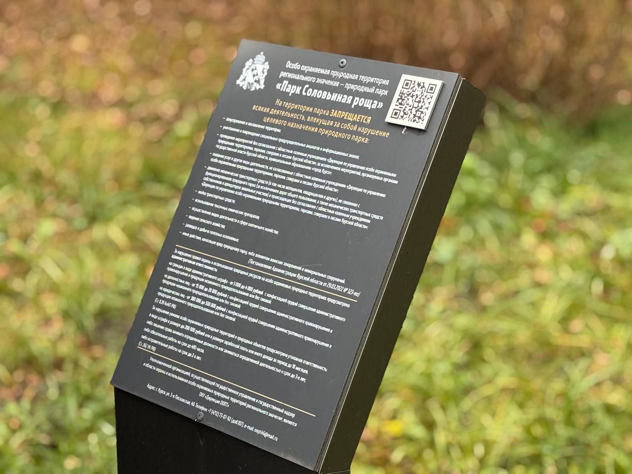 В парке «Соловьиная роща» создадут экотропу: работы начнутся уже в этом году В парке «Соловьиная роща» создадут экотропу: работы начнутся уже в этом году