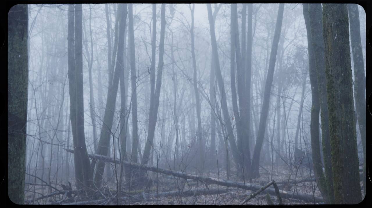 Спецназ ‘Ахмат’ - подразделение, которым усиливают сложные участки фронта