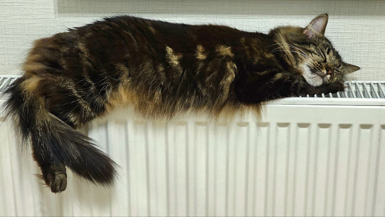 В Курске сегодня отключат отопление и горячую воду в Северо-Западном районе