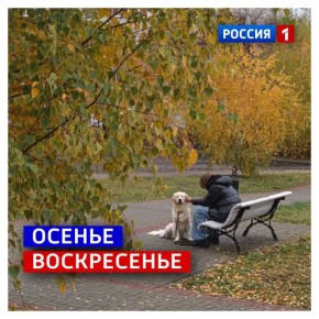 23 ноября, воскресенье. Сочувствуем тем, кому даже в воскресенье приходится вставать достаточно рано