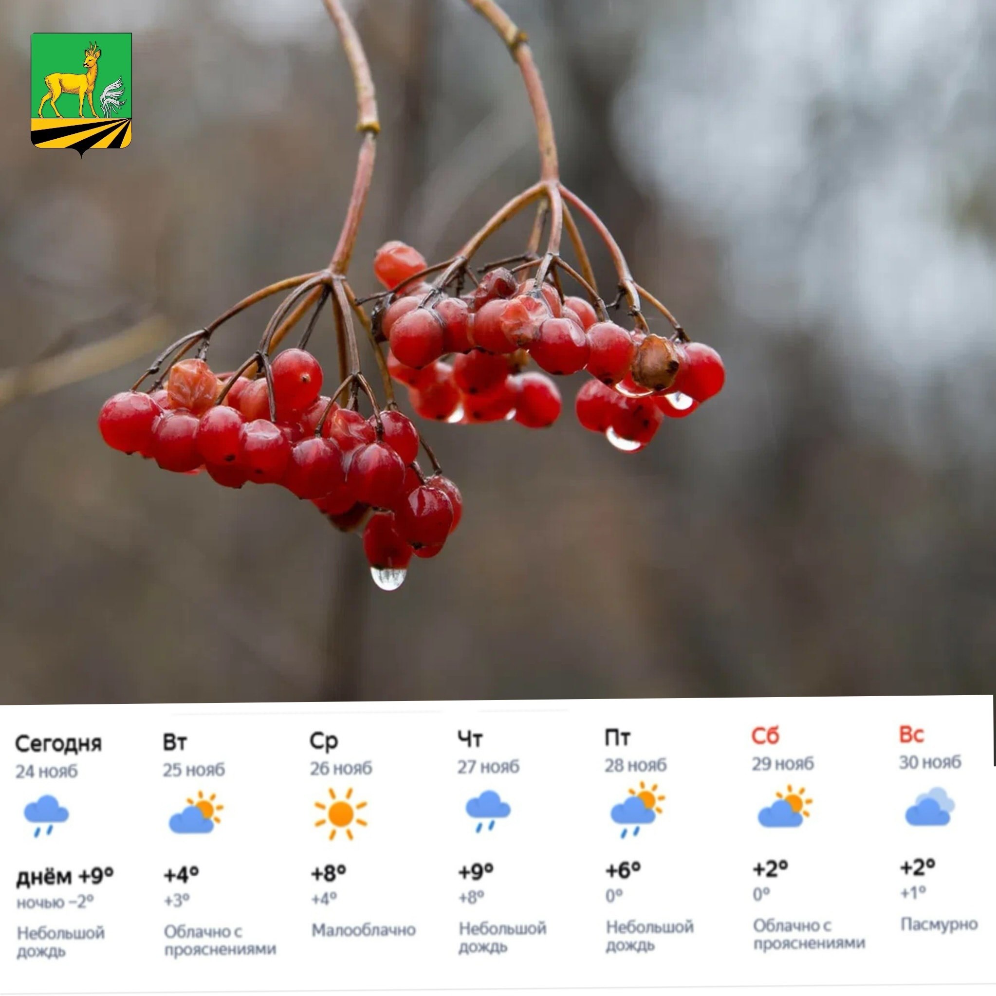 Доброе утро, земляки! Неделя уходящей осени выдастся облачной и дождливой