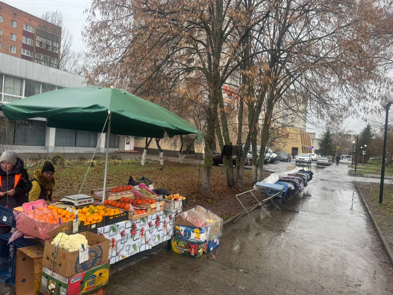 По шести улицам Курска специалисты проверили незаконную торговлю По шести улицам Курска специалисты проверили незаконную торговлю