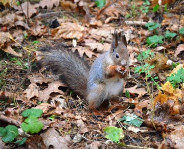 Год назад в конце ноября днем уже был легкий морозец