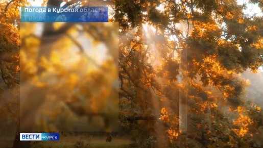 на 28 ноября. ВЕСТИ Читать | Прислать | MAX