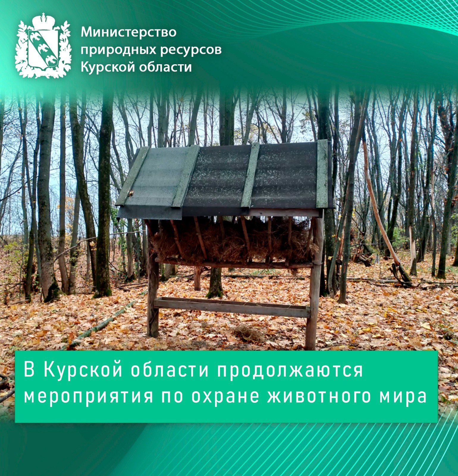 В Курской области продолжаются мероприятия по охране животного мира