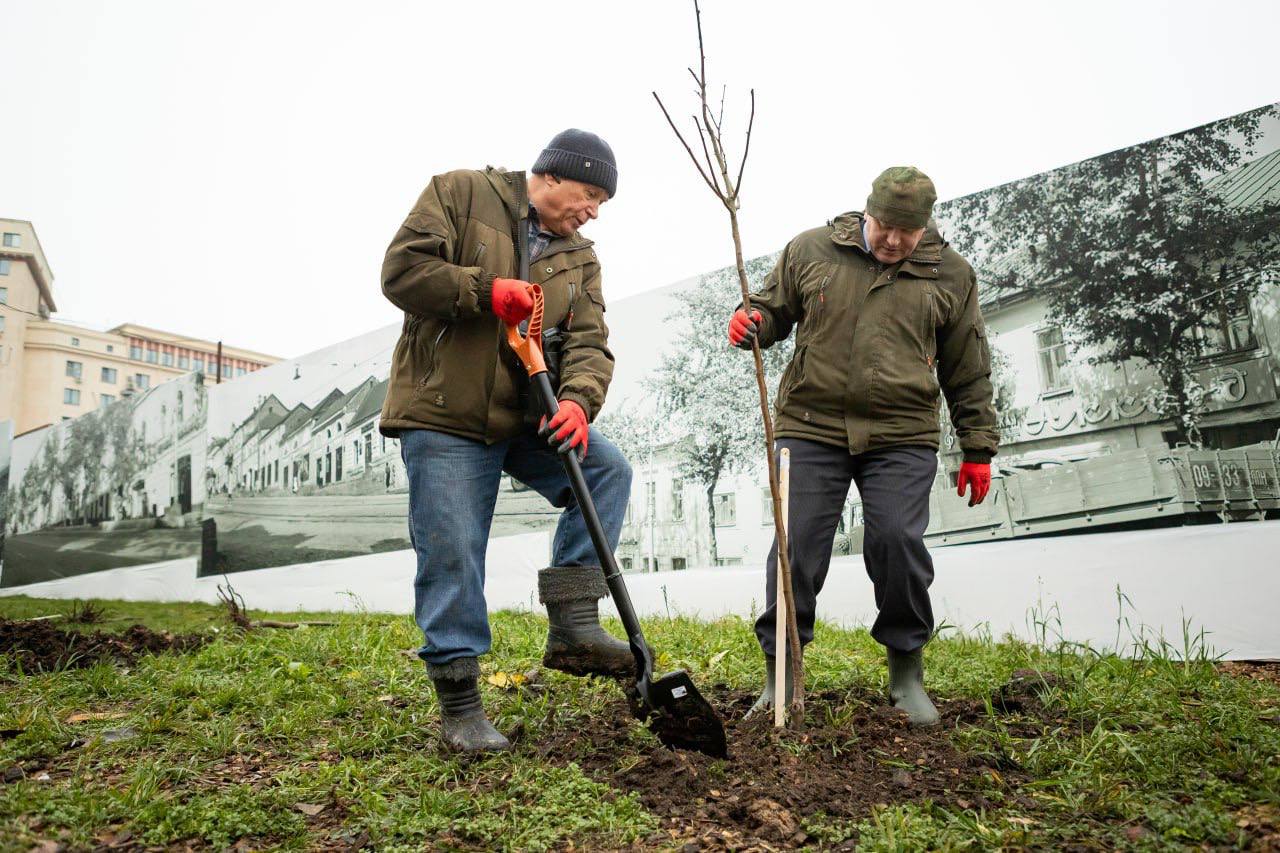Партийцы, члены «Молодой гвардии» и «Волонтерской роты» высадили саженцы лип Партийцы, члены «Молодой гвардии» и «Волонтерской роты» высадили саженцы лип