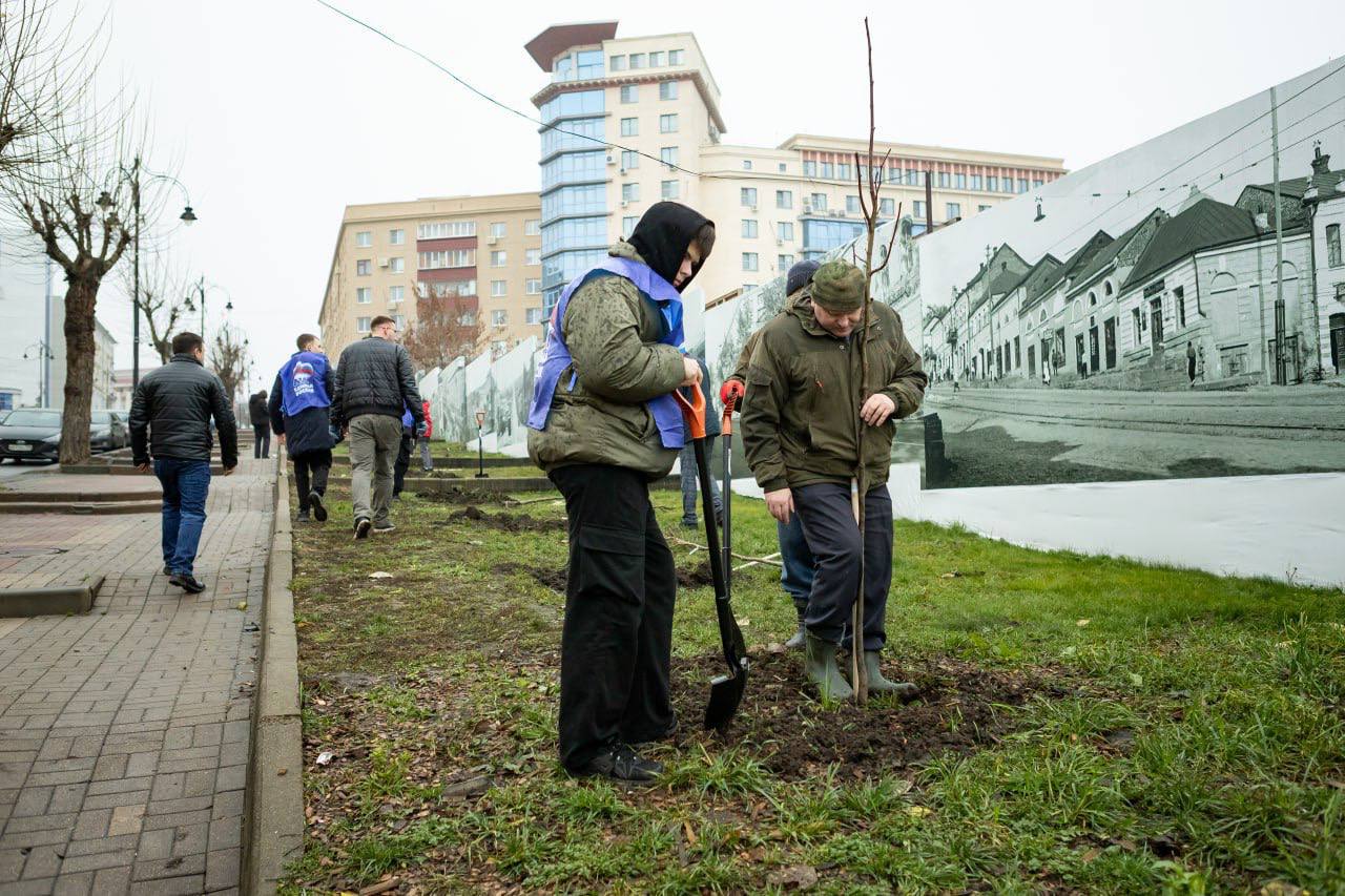 Партийцы, члены «Молодой гвардии» и «Волонтерской роты» высадили саженцы лип Партийцы, члены «Молодой гвардии» и «Волонтерской роты» высадили саженцы лип