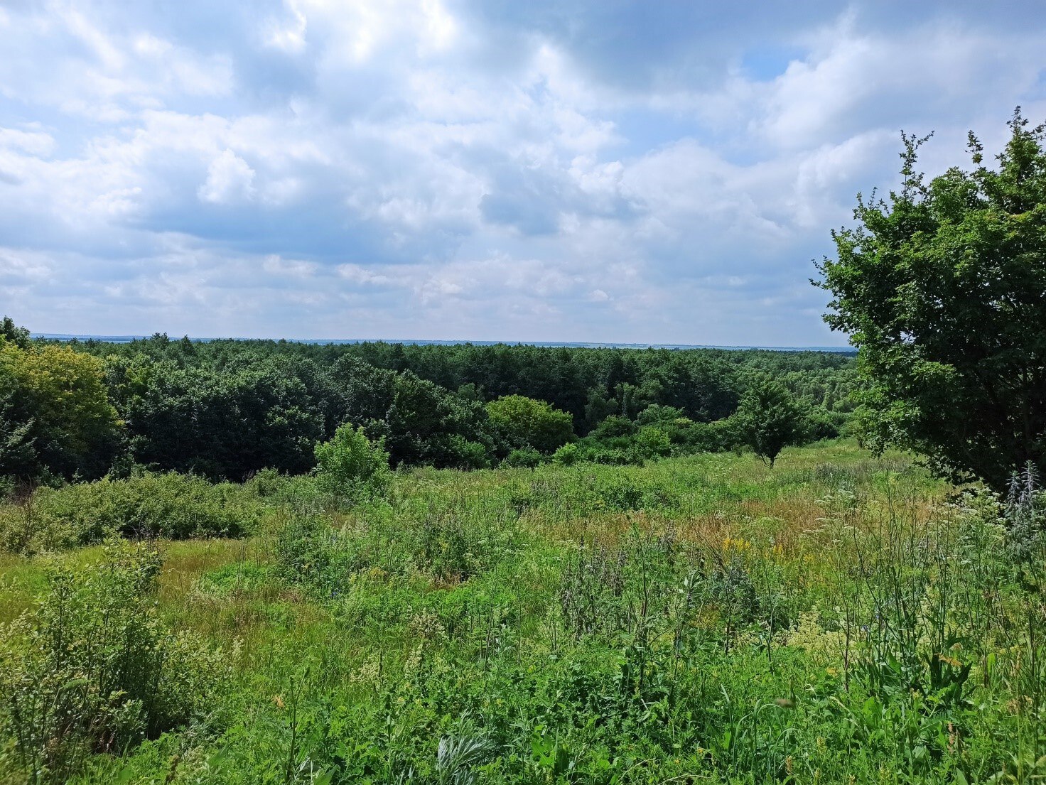 В Единый государственный реестр недвижимости внесли сведения о трех охранных зонах памятников природы В Единый государственный реестр недвижимости внесли сведения о трех охранных зонах памятников природы